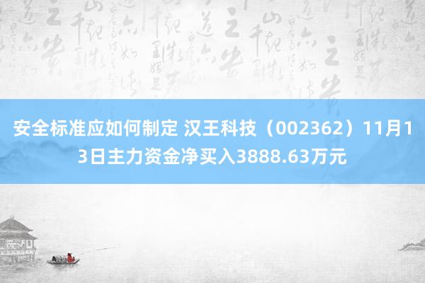 安全标准应如何制定 汉王科技（002362）11月13日主力资金净买入3888.63万元