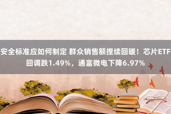 安全标准应如何制定 群众销售额捏续回暖！芯片ETF回调跌1.49%，通富微电下降6.97%