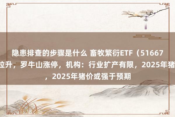 隐患排查的步骤是什么 畜牧繁衍ETF（516670）午后直线拉升，罗牛山涨停，机构：行业扩产有限，2025年猪价或强于预期