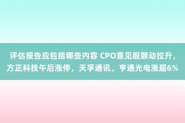 评估报告应包括哪些内容 CPO意见股颤动拉升，方正科技午后涨停，天孚通讯、亨通光电涨超6%