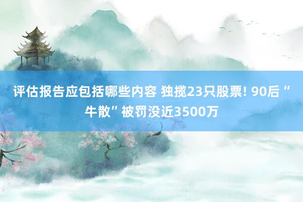 评估报告应包括哪些内容 独揽23只股票! 90后“牛散”被罚没近3500万