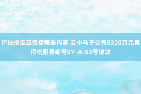 评估报告应包括哪些内容 云中马子公司8320万元竞得松阳县编号SY-A-03号地块