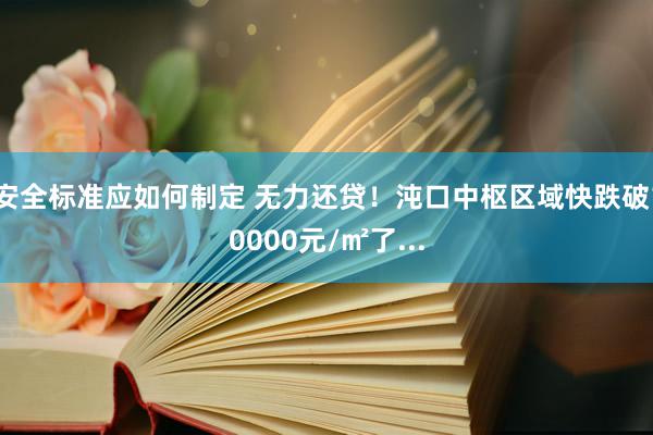 安全标准应如何制定 无力还贷！沌口中枢区域快跌破10000元/㎡了...