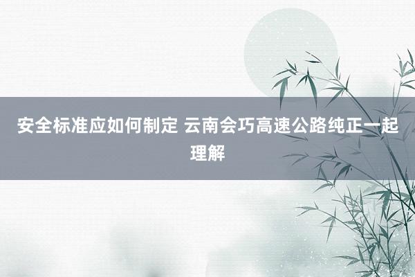 安全标准应如何制定 云南会巧高速公路纯正一起理解