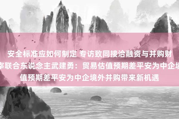 安全标准应如何制定 专访致同接洽融资与并购财务照料人管当事人宰联合东说念主武建勇：贸易估值预期差平安为中企境外并购带来新机遇