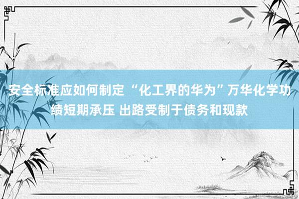 安全标准应如何制定 “化工界的华为”万华化学功绩短期承压 出路受制于债务和现款