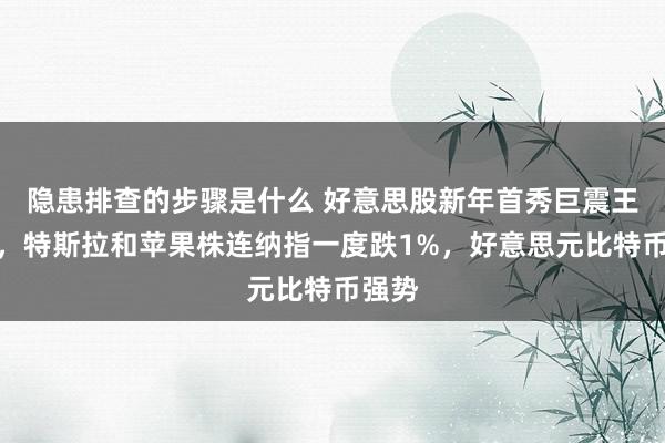 隐患排查的步骤是什么 好意思股新年首秀巨震王人跌，特斯拉和苹果株连纳指一度跌1%，好意思元比特币强势