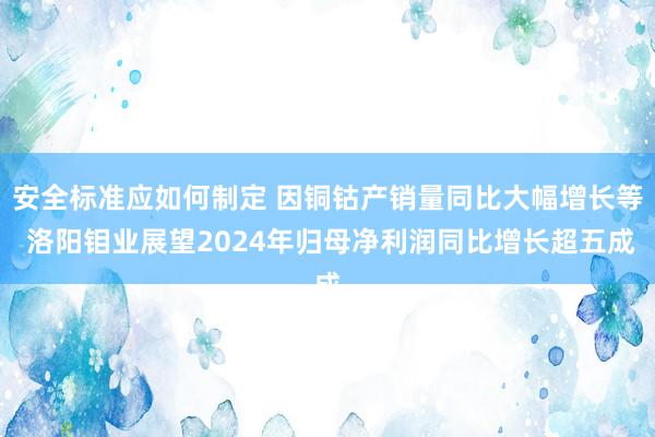 安全标准应如何制定 因铜钴产销量同比大幅增长等 洛阳钼业展望2024年归母净利润同比增长超五成