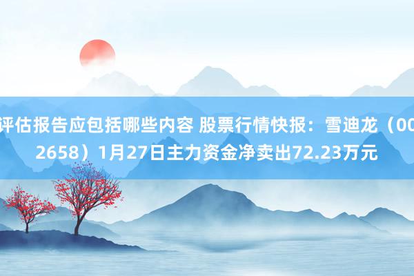 评估报告应包括哪些内容 股票行情快报：雪迪龙（002658）1月27日主力资金净卖出72.23万元