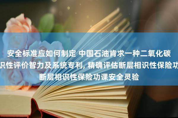 安全标准应如何制定 中国石油肯求一种二氧化碳驱油断层相识性评价智力及系统专利, 精确评估断层相识性保险功课安全灵验