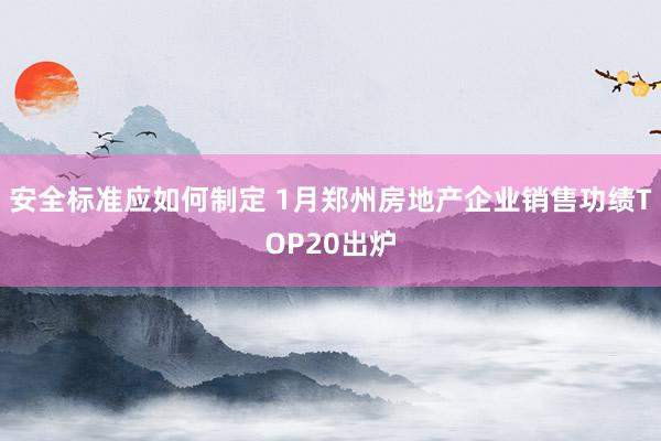 安全标准应如何制定 1月郑州房地产企业销售功绩TOP20出炉