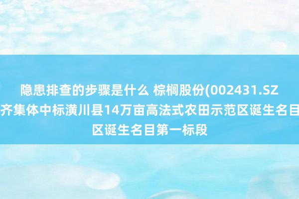 隐患排查的步骤是什么 棕榈股份(002431.SZ): 子公司齐集体中标潢川县14万亩高法式农田示范区诞生名目第一标段