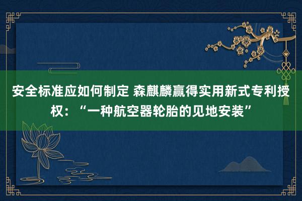 安全标准应如何制定 森麒麟赢得实用新式专利授权：“一种航空器轮胎的见地安装”