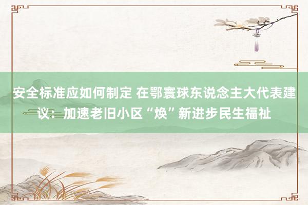 安全标准应如何制定 在鄂寰球东说念主大代表建议：加速老旧小区“焕”新进步民生福祉