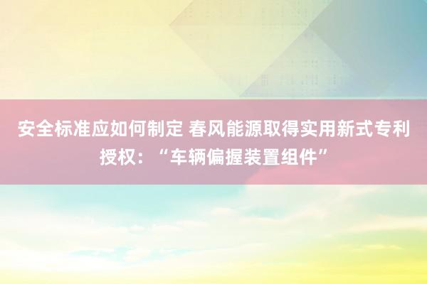 安全标准应如何制定 春风能源取得实用新式专利授权：“车辆偏握装置组件”