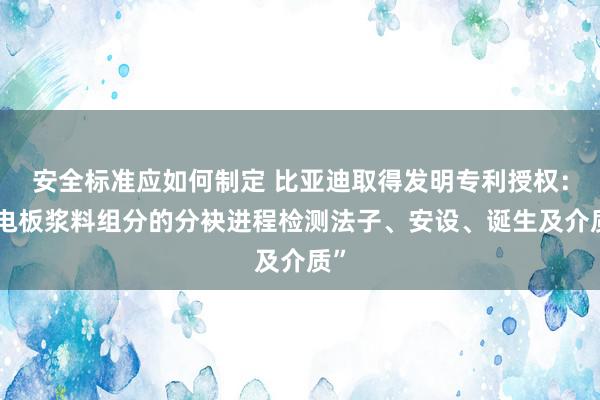 安全标准应如何制定 比亚迪取得发明专利授权：“电板浆料组分的分袂进程检测法子、安设、诞生及介质”