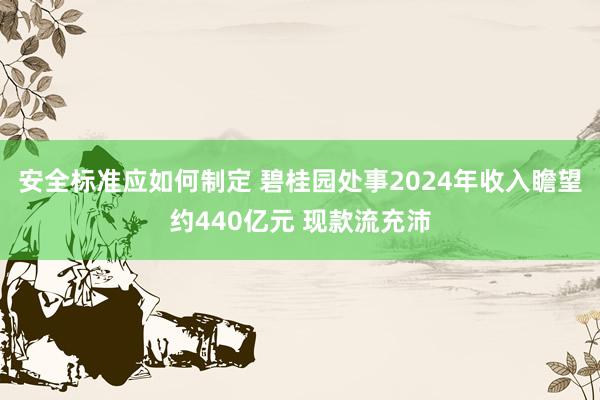 安全标准应如何制定 碧桂园处事2024年收入瞻望约440亿元 现款流充沛