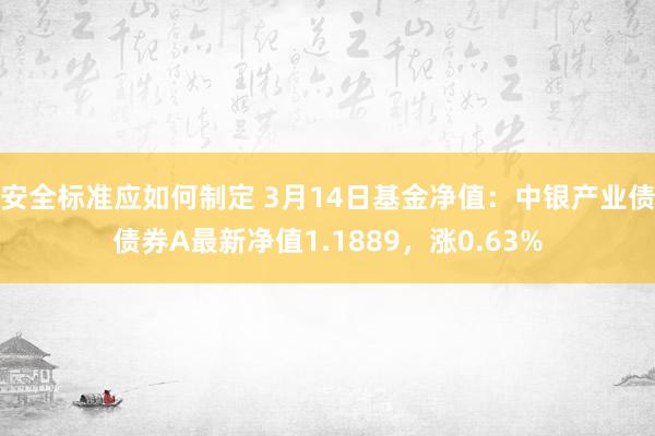 安全标准应如何制定 3月14日基金净值：中银产业债债券A最新净值1.1889，涨0.63%